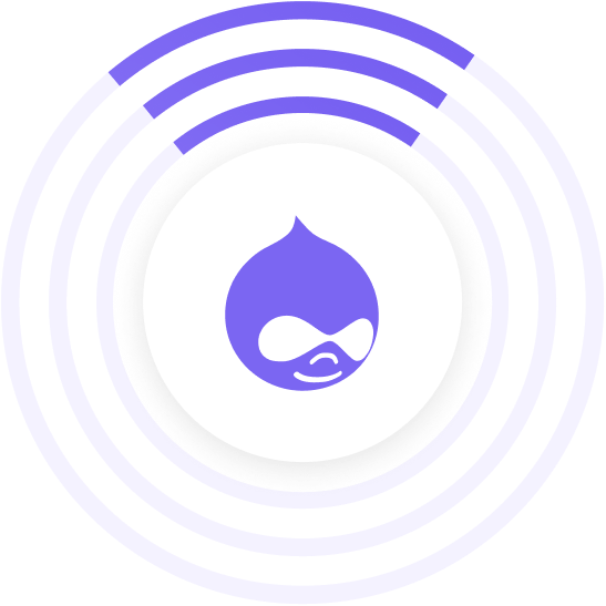 Why Hire Drupal Developers